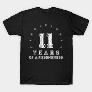 Vintage 11 years of awesomeness T-Shirt